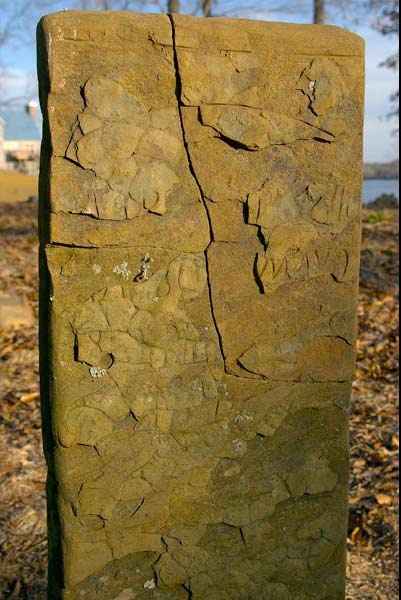 Prewitt Family/Slave Cemetery