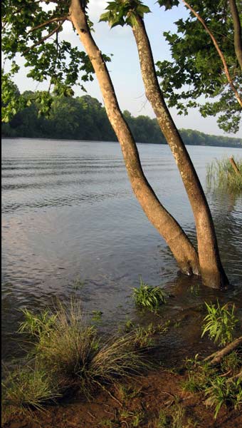 Black Warrior River